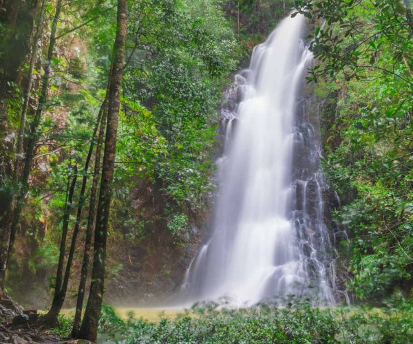 Discover San Ignacio, Belize- Your Ultimate Guide To Adventure