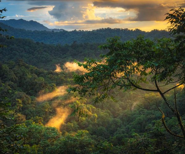 Mashpi Lodge – Luxury and Adventure in the Cloud Forest of Ecuador