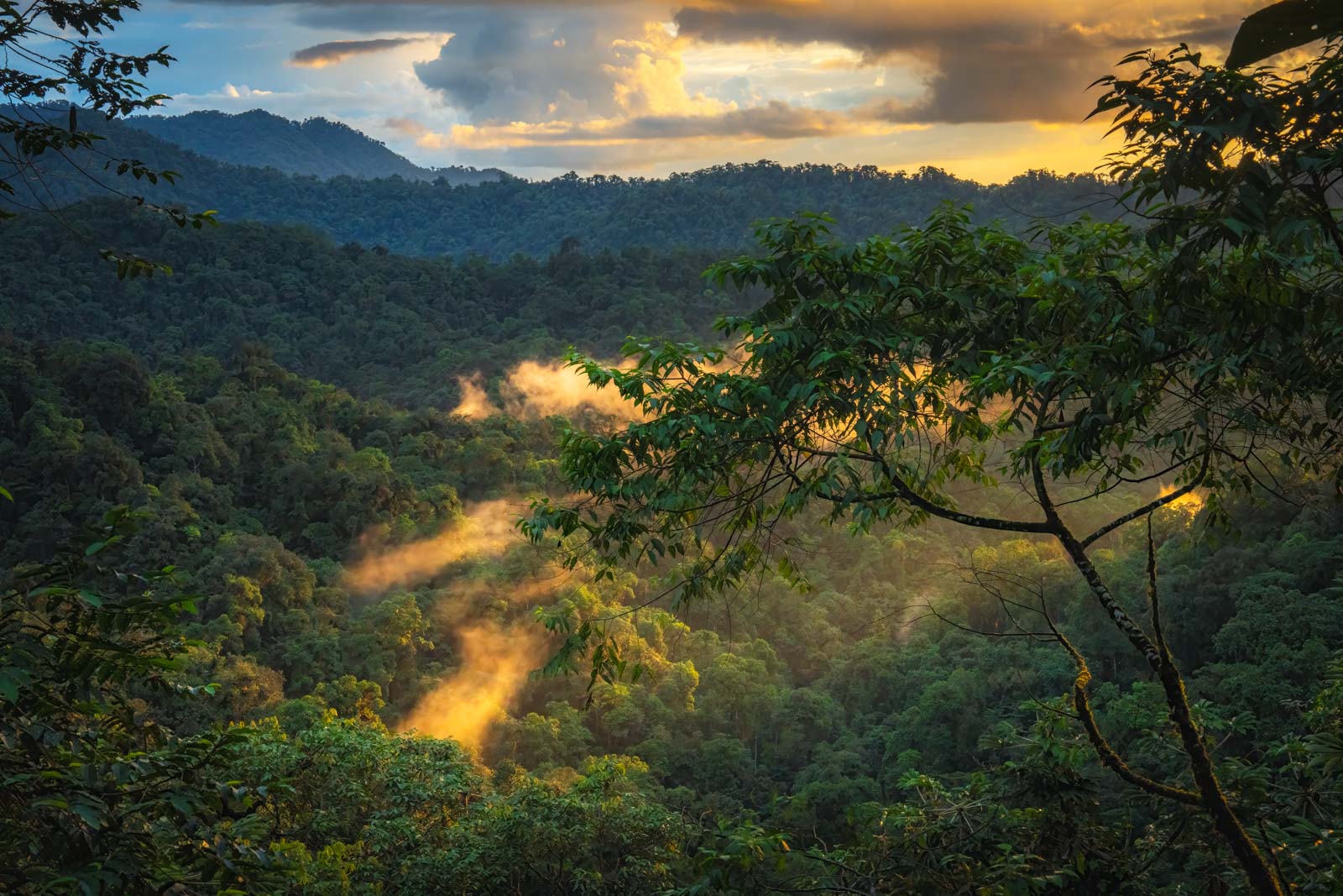 Mashpi Lodge – Luxury and Adventure in the Cloud Forest of Ecuador