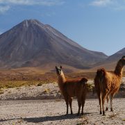 Travel Guide to Chile