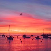 Catalina Island, California – I chickened out; But somehow got rewarded